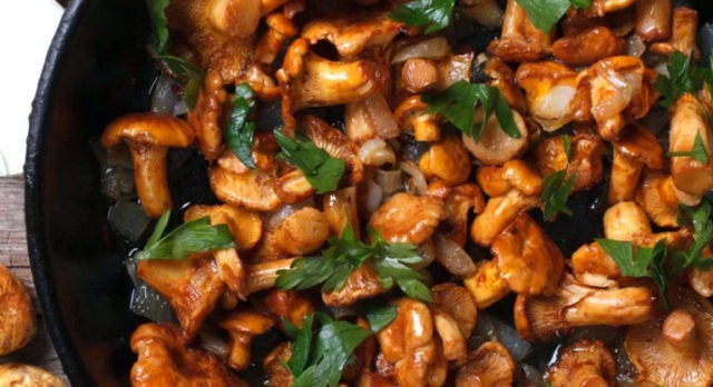 Milky mushrooms: how to cook, hot and cold salting, how to pickle