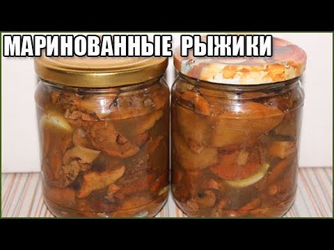 Milky mushrooms: how to cook, hot and cold salting, how to pickle