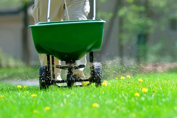 Mineral fertilizer spreader: advantages