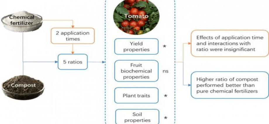 Mineral fertilizers for tomatoes