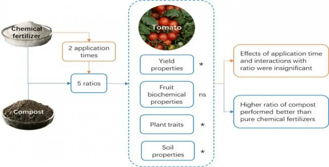 Mineral fertilizers for tomatoes