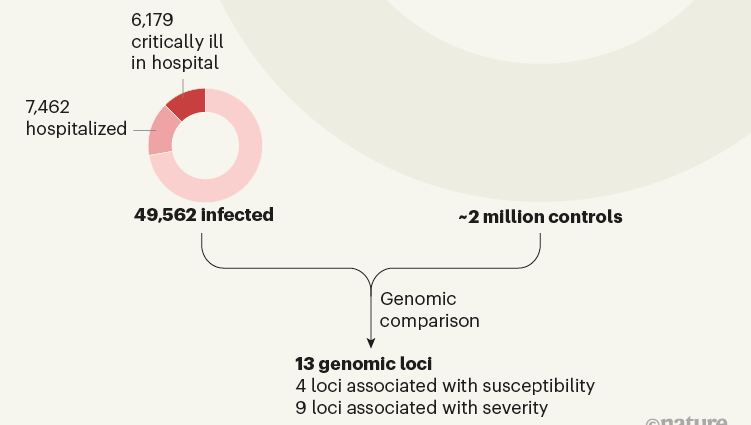 Minor gene variants can affect the severity of COVID-19