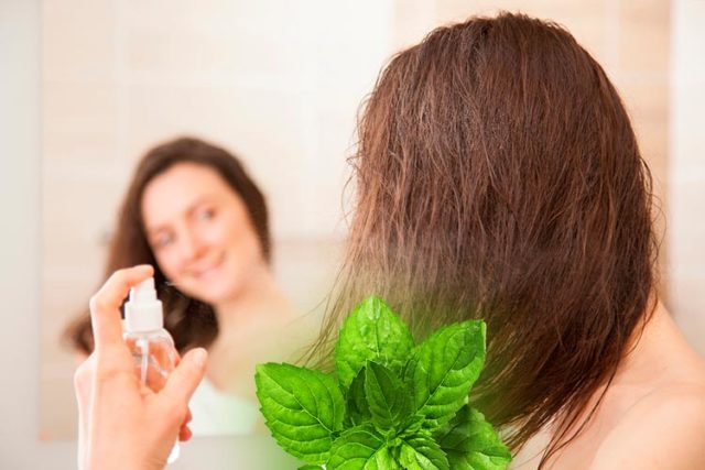 Mint for hair: reviews, rinsing, benefits and harms