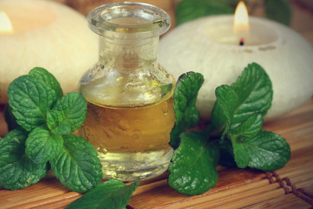 Mint for hair: reviews, rinsing, benefits and harms