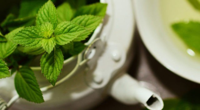 Mint for hair: reviews, rinsing, benefits and harms