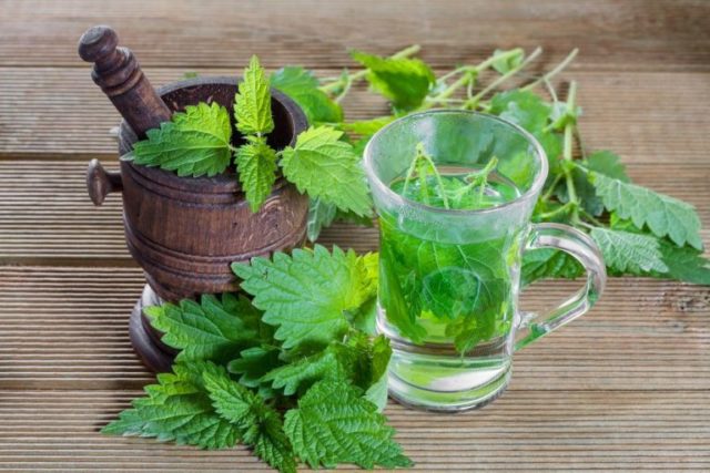 Mint for hair: reviews, rinsing, benefits and harms