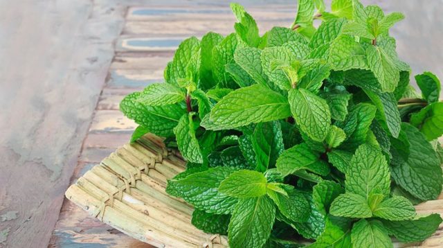 Mint for hair: reviews, rinsing, benefits and harms