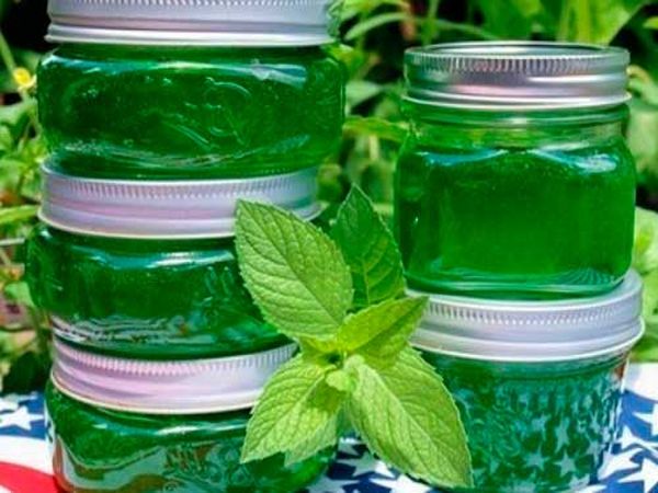 Mint Jam: Recipes for Mint Dessert with Strawberries, Lemons, Basil, Cucumbers