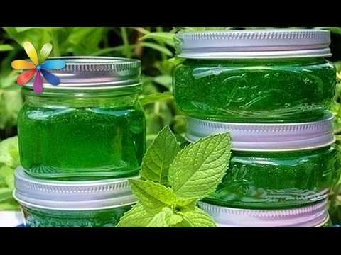 Mint Jam: Recipes for Mint Dessert with Strawberries, Lemons, Basil, Cucumbers