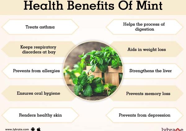 Mint &#8211; varieties, health properties, side effects, application