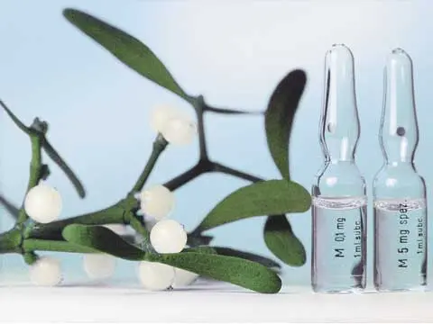 Mistletoe extract kills cancer cells