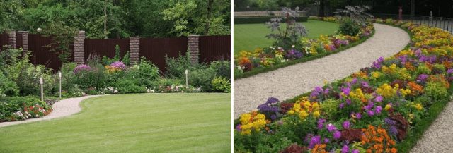 Mixborder of shrubs and perennials: photo + diagrams