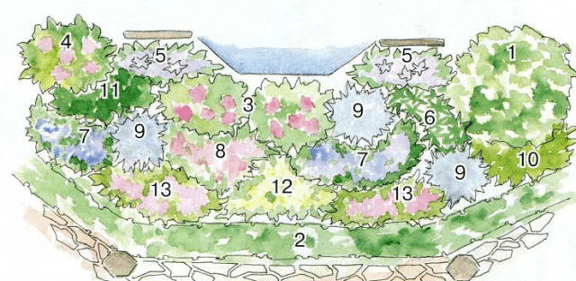 Mixborder of shrubs and perennials: photo + diagrams