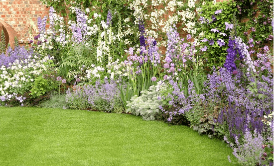 Mixborder of shrubs and perennials: photo + diagrams