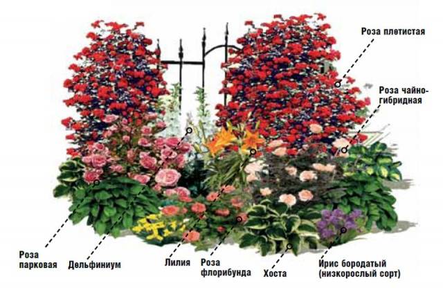 Mixborders in landscape design + photo