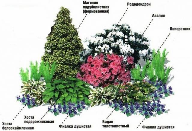 Mixborders in landscape design + photo