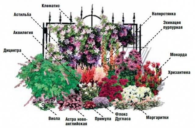 Mixborders in landscape design + photo