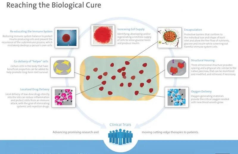 Modern methods of treating diabetes