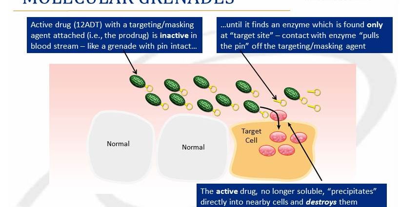 Molecular anti-cancer grenade