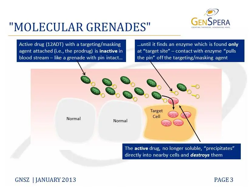 Molecular anti-cancer grenade