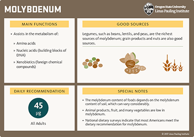 Molybdenum &#8211; role in the body, deficiency, excess
