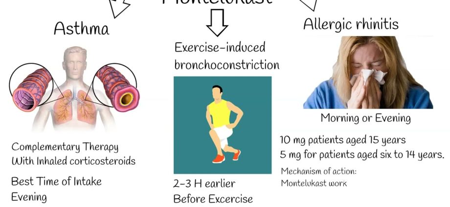 Montelukast &#8211; action, indications, side effects