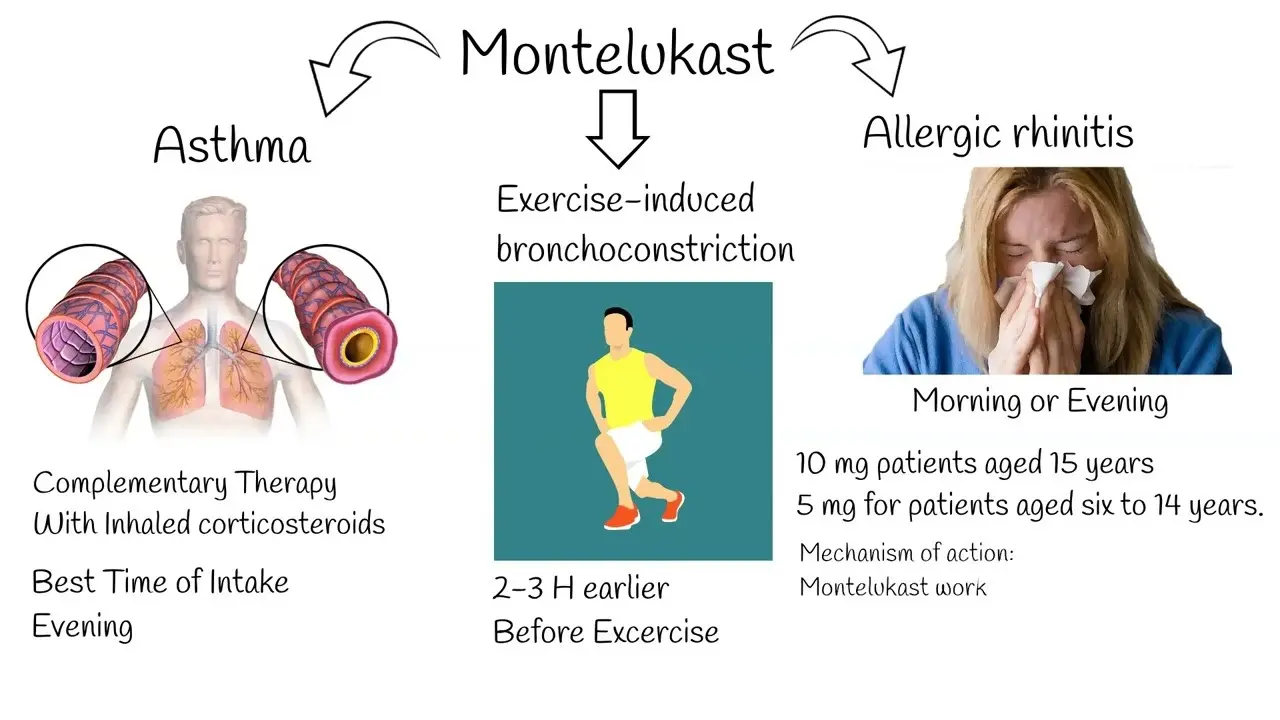 Montelukast &#8211; action, indications, side effects