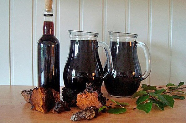 Moonshine on chaga: cooking recipes, application rules, reviews