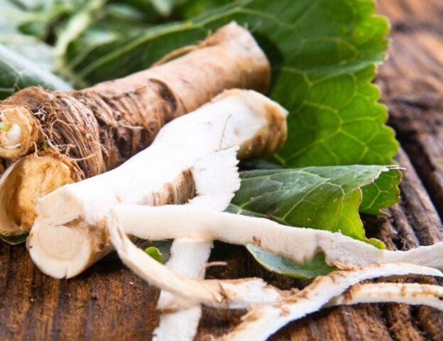 Moonshine on horseradish: recipes for 1 and 3 liters, how to insist, benefits and harms