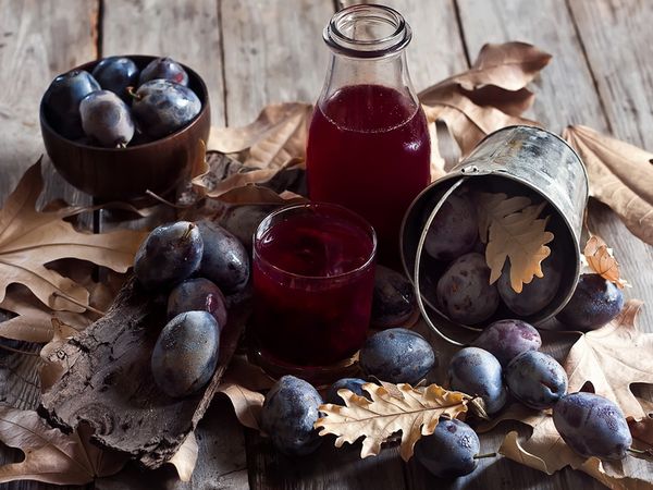 Moonshine on prunes: a classic recipe, on alcohol, on vodka, with additives + useful properties and harm of tincture