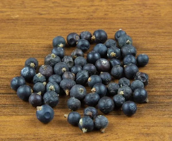 Moonshine recipes on juniper berries