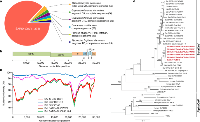 More and more victims of MERS, an infection more dangerous than SARS