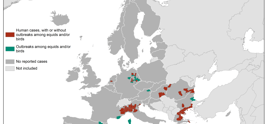 More and more West Nile virus infections in Europe. Experts blame the weather