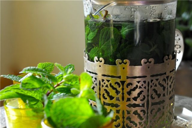 Moroccan mint: useful properties, recipes with photos