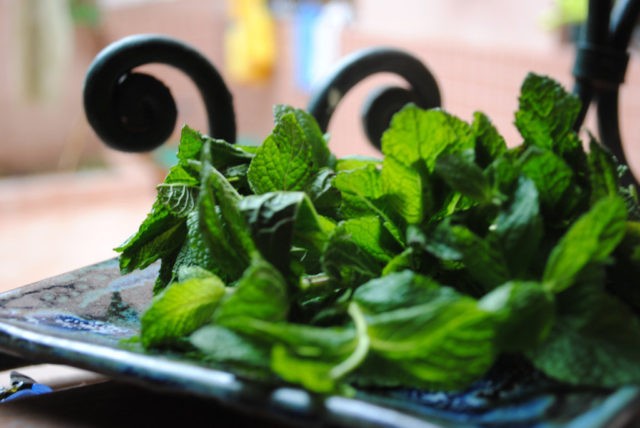 Moroccan mint: useful properties, recipes with photos