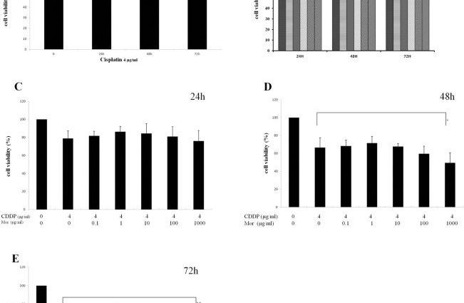 Morphine inhibits the growth of tumors