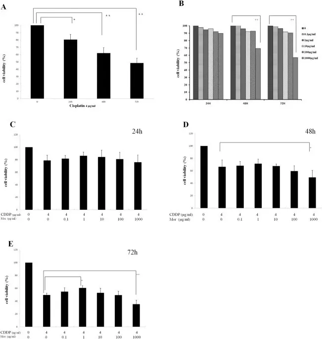 Morphine inhibits the growth of tumors