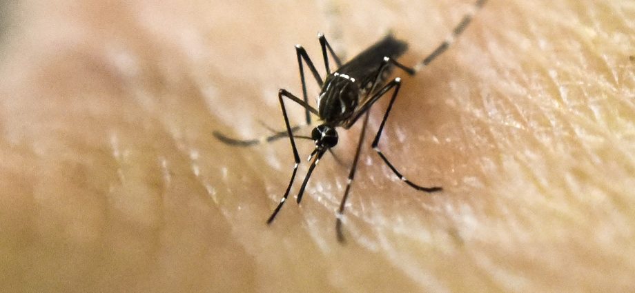 Mosquito and tick repellants can endanger your health