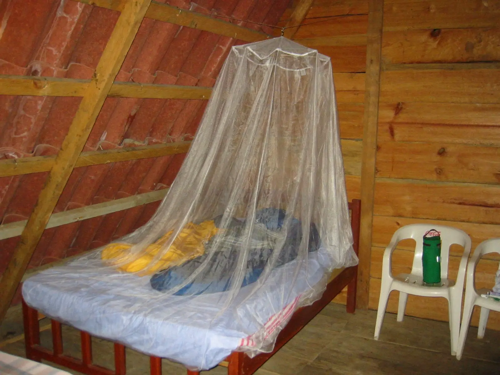 Mosquitoes are no longer afraid of insecticidal mosquito nets