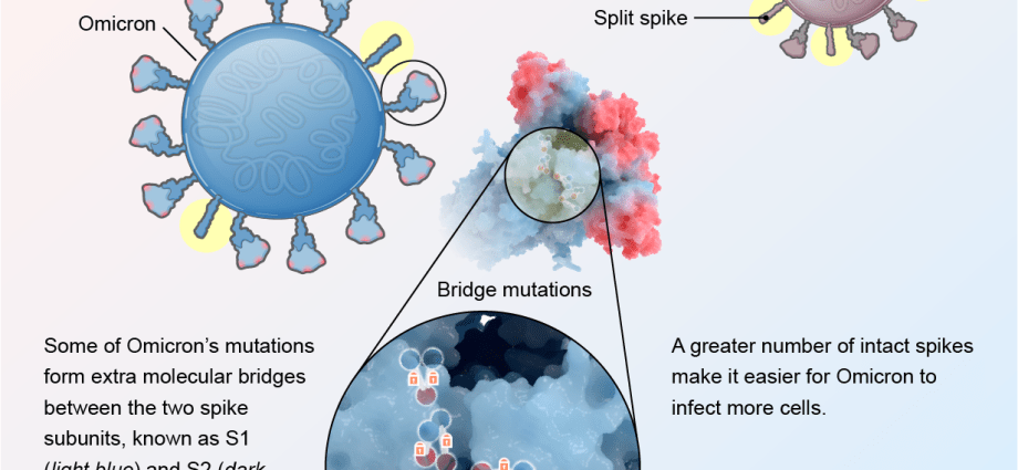 Most contagious viruses ever. Can Omikron pierce them?