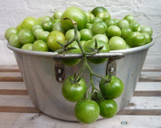 Mother-in-law&#8217;s tongue with tomatoes: recipe