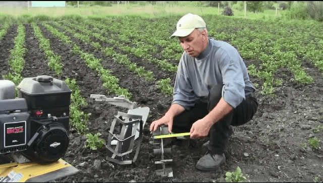 Motor cultivator for row spacing 