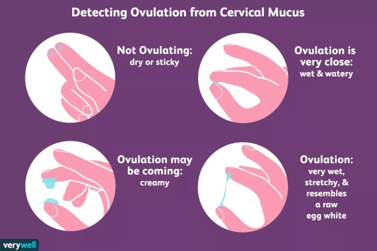 Mucus method. Is this natural contraceptive method effective?