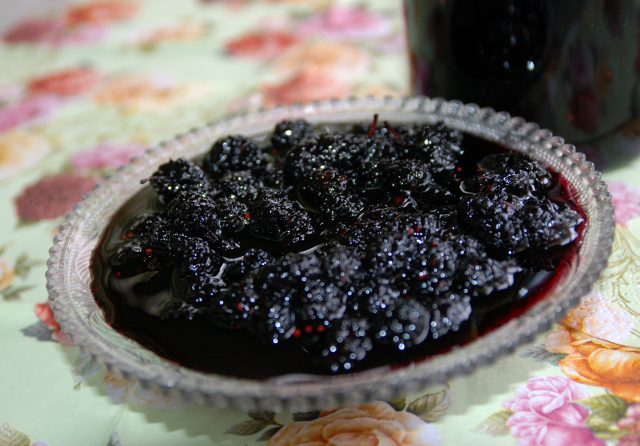 Mulberry berry (mulberry): photo, benefit and harm