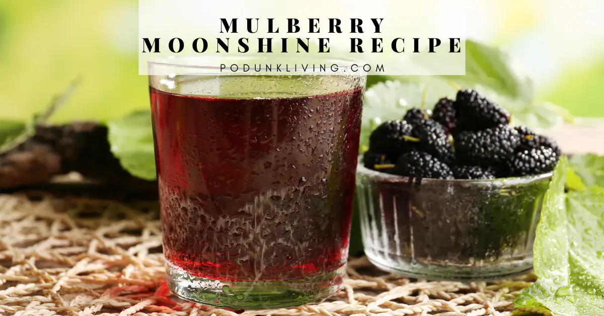 Mulberry moonshine