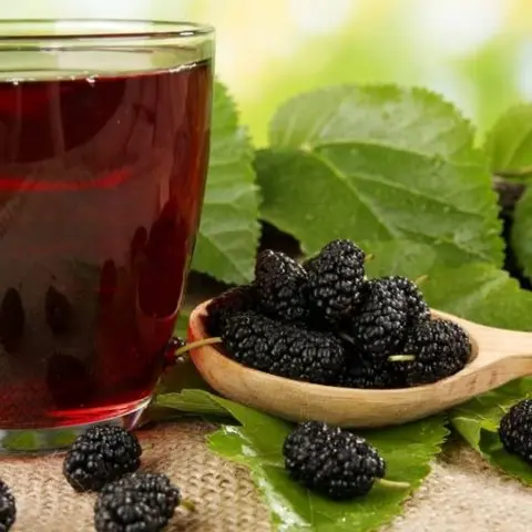 Mulberry wine