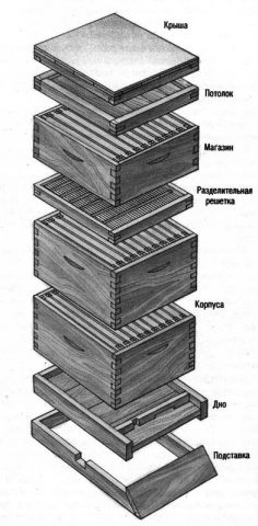 Multi-hull keeping of bees: pros and cons