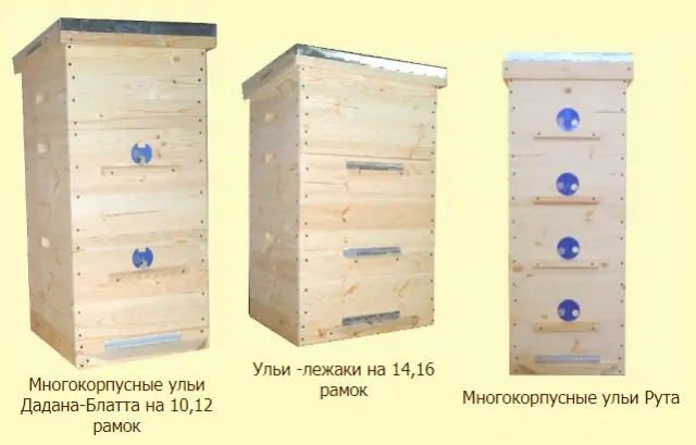 Multi-hull keeping of bees: pros and cons