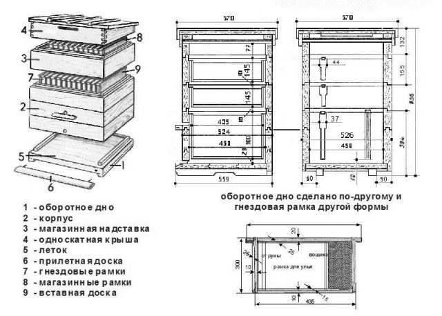 Multi-hull keeping of bees: pros and cons