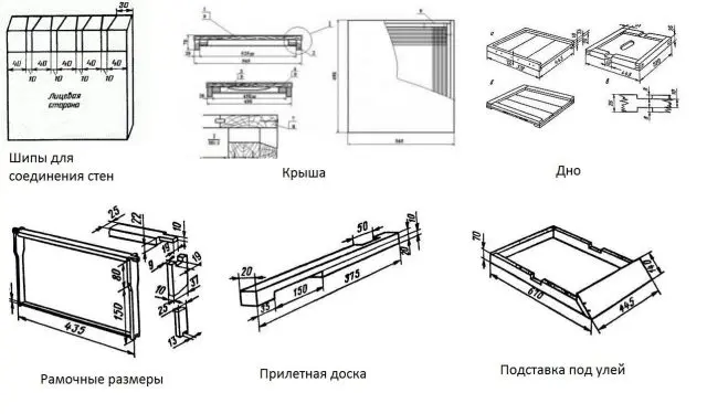 Multi-hull keeping of bees: pros and cons